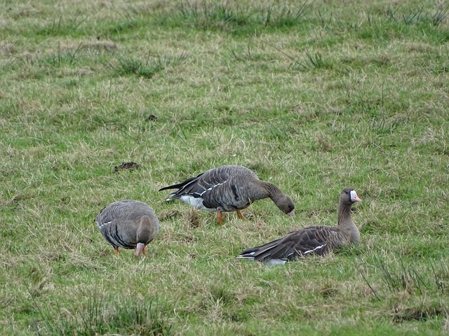 立足的重要 立足的重要